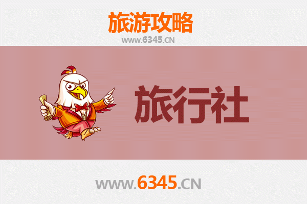 文昌东郊镇本地旅行社推荐：椰林风情与航天之旅的完美向导